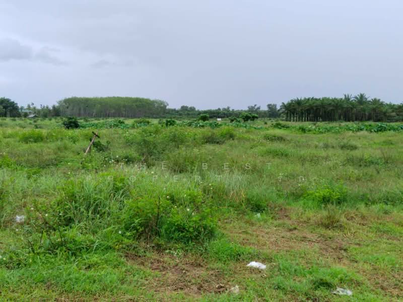 ที่ดินทุ่งคา ชุมพร, Chumphon, Thung Kha, Muang Chumphon, Chumphon, , 16,096 sqm, Land For Sale, by The Best Property รัก, 500357882 - DDproperty.com
