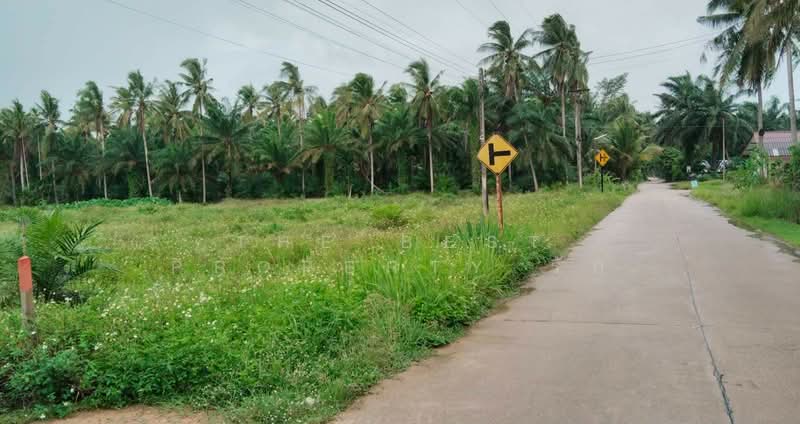 ที่ดินทุ่งคา ชุมพร, Chumphon, Thung Kha, Muang Chumphon, Chumphon, , 16,096 sqm, Land For Sale, by The Best Property รัก, 500357882 - DDproperty.com