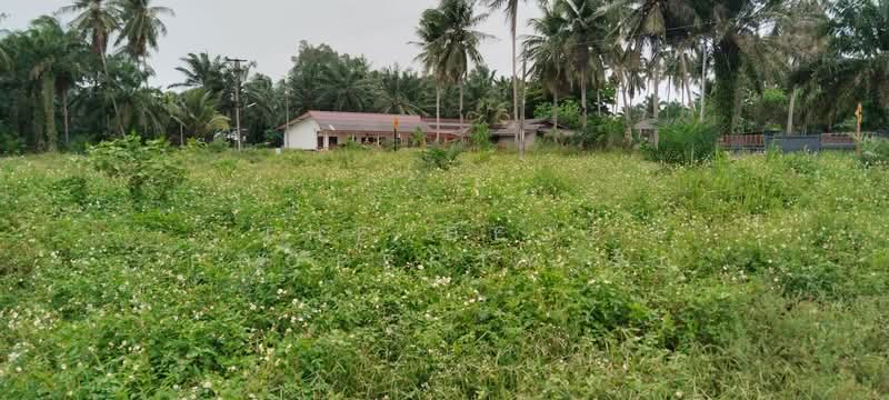 ที่ดินทุ่งคา ชุมพร, Chumphon, Thung Kha, Muang Chumphon, Chumphon, , 16,096 sqm, Land For Sale, by The Best Property รัก, 500357882 - DDproperty.com