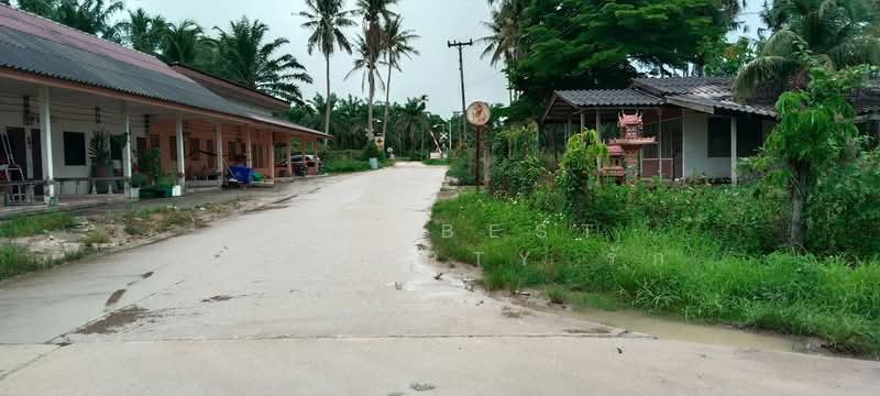 ที่ดินทุ่งคา ชุมพร, Chumphon, Thung Kha, Muang Chumphon, Chumphon, , 16,096 sqm, Land For Sale, by The Best Property รัก, 500357882 - DDproperty.com