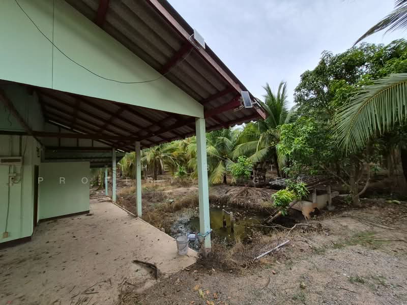 ที่ดินวัดเพลง ราชบุรี, Ratchaburi, Ko San Phra, Wat Phleng, Ratchaburi, , 11,216 sqm, Land For Sale, by The Best Property Agent อิ๋ว, 500357911 - DDproperty.com