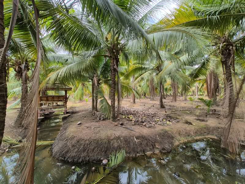 ที่ดินวัดเพลง ราชบุรี, Ratchaburi, Ko San Phra, Wat Phleng, Ratchaburi, , 11,216 sqm, Land For Sale, by The Best Property Agent อิ๋ว, 500357911 - DDproperty.com