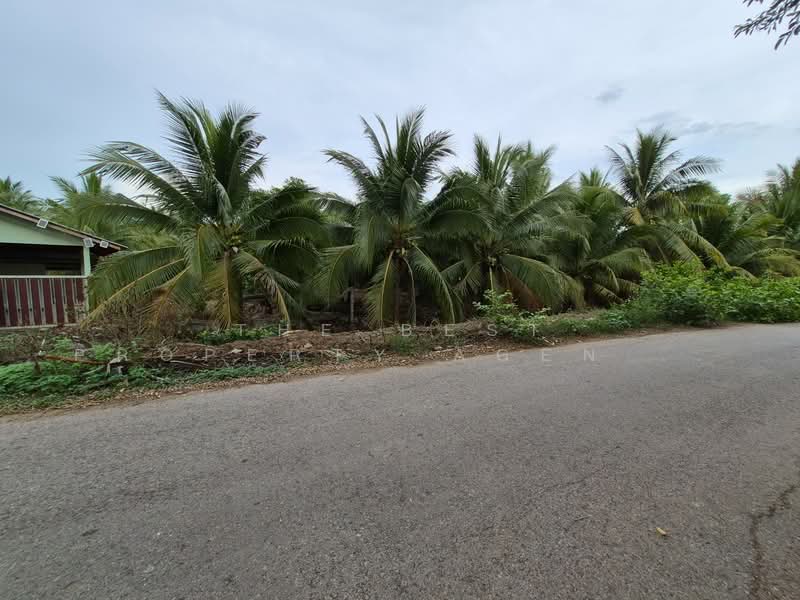 ที่ดินวัดเพลง ราชบุรี, Ratchaburi, Ko San Phra, Wat Phleng, Ratchaburi, , 11,216 sqm, Land For Sale, by The Best Property Agent อิ๋ว, 500357911 - DDproperty.com
