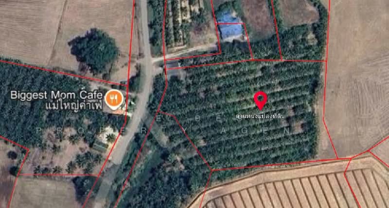 ที่ดินวัดเพลง ราชบุรี, Ratchaburi, Ko San Phra, Wat Phleng, Ratchaburi, , 11,216 sqm, Land For Sale, by The Best Property Agent อิ๋ว, 500357911 - DDproperty.com