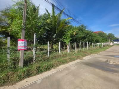 ขาย - ที่ดินนครชัยศรี นครปฐม, นครปฐม