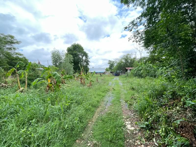 ที่ดินในเมือง ขอนแก่น, Khon Kaen, Nai Muang, Muang Khon Kaen, Khon Kaen, , 400 sqm, Land For Sale, by The Best Property โมทย์, 500358094 - DDproperty.com