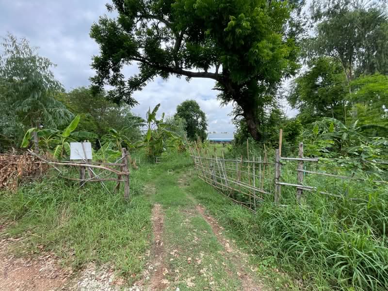 ที่ดินในเมือง ขอนแก่น, Khon Kaen, Nai Muang, Muang Khon Kaen, Khon Kaen, , 400 sqm, Land For Sale, by The Best Property โมทย์, 500358094 - DDproperty.com