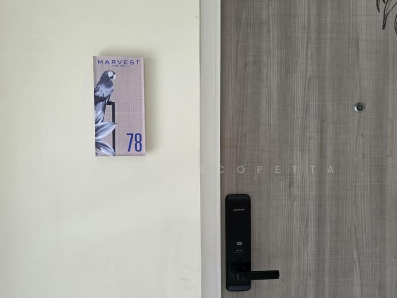 Marvest Hua Hin, Prachuap Khiri Khan, 172 Phetkasem Road, Hua Hin, Hua Hin, Prachuap Khiri Khan, 2 Bedrooms, 40 sqm, Condo For Rent, by Wanwisa Scopetta, 500358097 - DDproperty.com