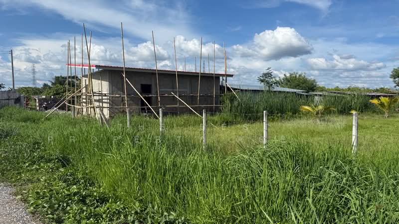 ที่ดินอุโมงค์ ลำพูน, Lamphun, Umong, Muang Lamphun, Lamphun, , 1,600 sqm, Land For Sale, by The Best Property Agent บอย, 500358167 - DDproperty.com