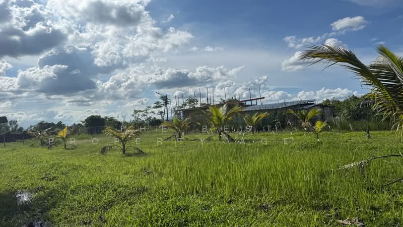 ที่ดินอุโมงค์ ลำพูน, Lamphun, Umong, Muang Lamphun, Lamphun, , 1,600 sqm, Land For Sale, by The Best Property Agent บอย, 500358167 - DDproperty.com