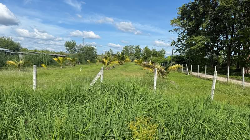 ที่ดินอุโมงค์ ลำพูน, Lamphun, Umong, Muang Lamphun, Lamphun, , 1,600 sqm, Land For Sale, by The Best Property Agent บอย, 500358167 - DDproperty.com