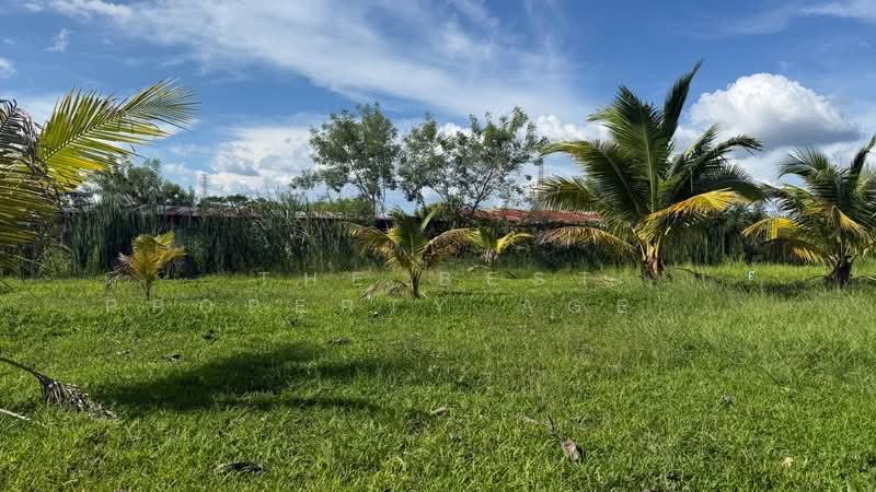 ที่ดินอุโมงค์ ลำพูน, Lamphun, Umong, Muang Lamphun, Lamphun, , 1,600 sqm, Land For Sale, by The Best Property Agent บอย, 500358167 - DDproperty.com