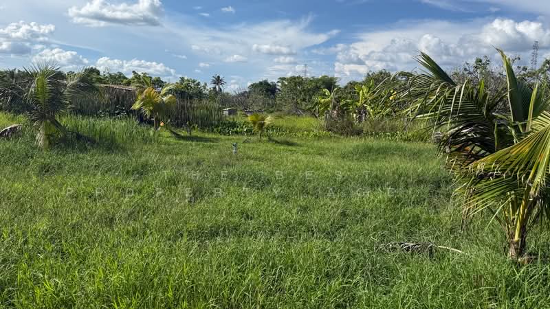 ที่ดินอุโมงค์ ลำพูน, Lamphun, Umong, Muang Lamphun, Lamphun, , 1,600 sqm, Land For Sale, by The Best Property Agent บอย, 500358167 - DDproperty.com