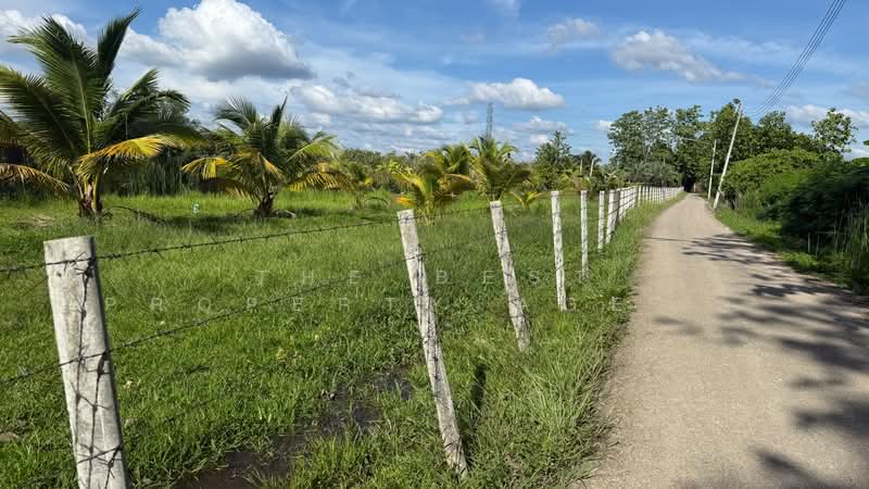 ที่ดินอุโมงค์ ลำพูน, Lamphun, Umong, Muang Lamphun, Lamphun, , 1,600 sqm, Land For Sale, by The Best Property Agent บอย, 500358167 - DDproperty.com