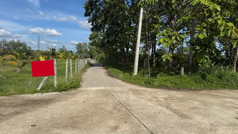 ที่ดินอุโมงค์ ลำพูน, Lamphun, Umong, Muang Lamphun, Lamphun, , 1,600 sqm, Land For Sale, by The Best Property Agent บอย, 500358167 - DDproperty.com