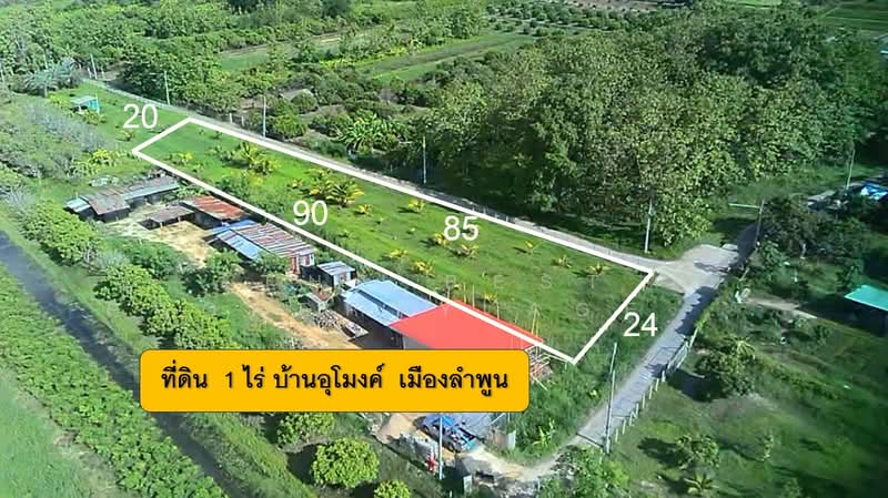 ที่ดินอุโมงค์ ลำพูน, ลำพูน, อุโมงค์, เมืองลำพูน, ลำพูน, 1,600 ตร.ม., ที่ดิน ขาย, โดย The Best Property Agent บอย, 500358167 - DDproperty.com