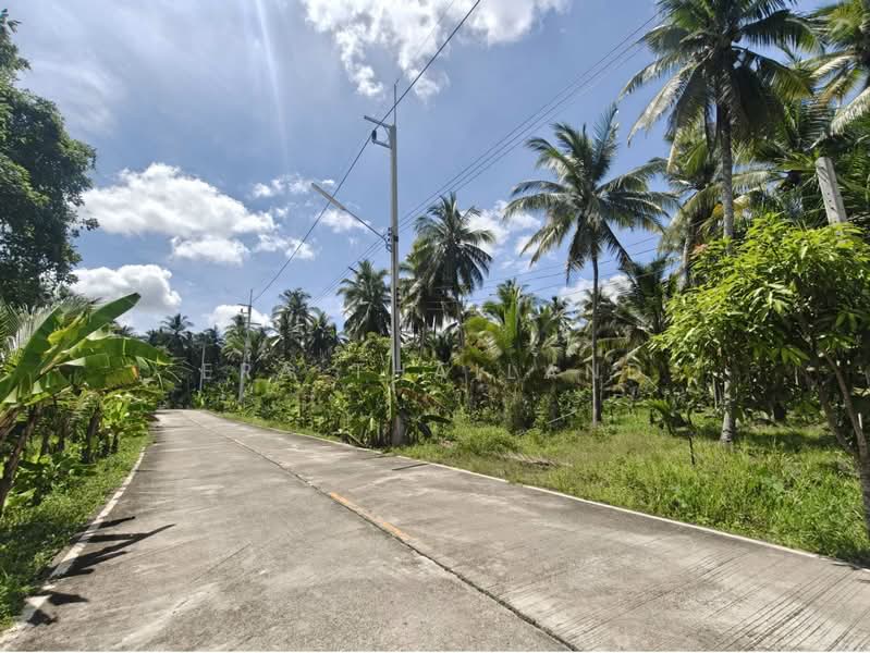 สวนปาล์มติดแม่น้ำตาปี 10 ไร่ พร้อมบ้านพักคนงาน คลองน้อย, Surat Thani, Khlong Noi, Muang Surat Thani, Surat Thani, , 16,632 sqm, Land For Sale, by ERA Thailand, 500358237 - DDproperty.com