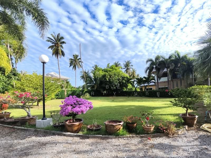 รีสอร์ทบางสะพาน ประจวบคีรีขันธ์, Prachuap Khiri Khan, Phungprasan, Bang Saphan, Prachuap Khiri Khan, , 200 sqm, Business For Sale, by The Best Property นกยูง, 500358263 - DDproperty.com