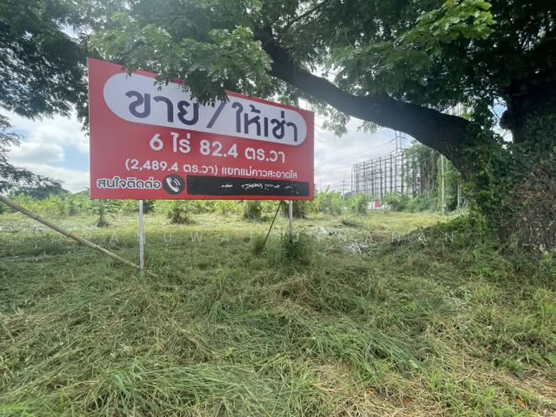 ไม่พบโครงการ, เชียงใหม่, , ช้างเผือก, เมืองเชียงใหม่, เชียงใหม่, 9,932 ตร.ม., ที่ดิน ขาย, โดย Panuwat Jinanan, 500358280 - DDproperty.com