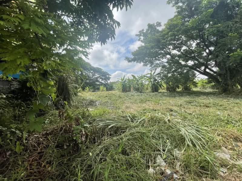 ไม่พบโครงการ, Chiang Mai, , Chang Phuak, Muang Chiang Mai, Chiang Mai, , 9,932 sqm, Land For Sale, by Panuwat Jinanan, 500358280 - DDproperty.com
