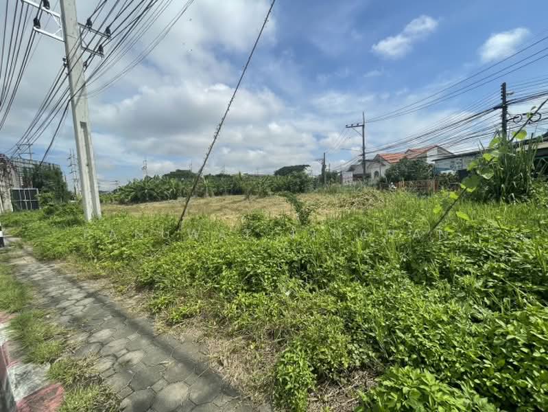 ไม่พบโครงการ, Chiang Mai, , Chang Phuak, Muang Chiang Mai, Chiang Mai, , 9,932 sqm, Land For Sale, by Panuwat Jinanan, 500358280 - DDproperty.com