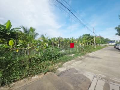 ขาย - ที่ดินนครชัยศรี นครปฐม, นครปฐม