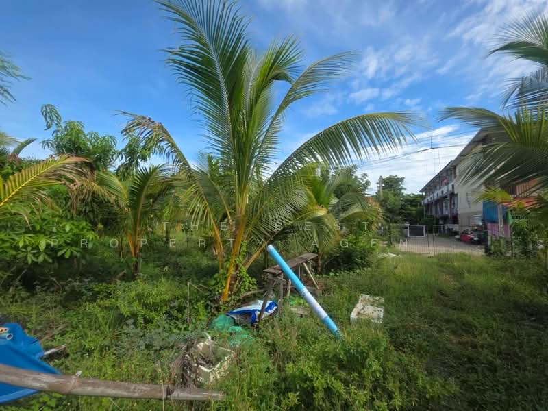 ที่ดินนครชัยศรี นครปฐม, Nakhon Pathom, Bang Krabao, Nakhon Chai Sri, Nakhon Pathom, , 3,064 sqm, Land For Sale, by The Best Property Agent อ้อ, 500358309 - DDproperty.com