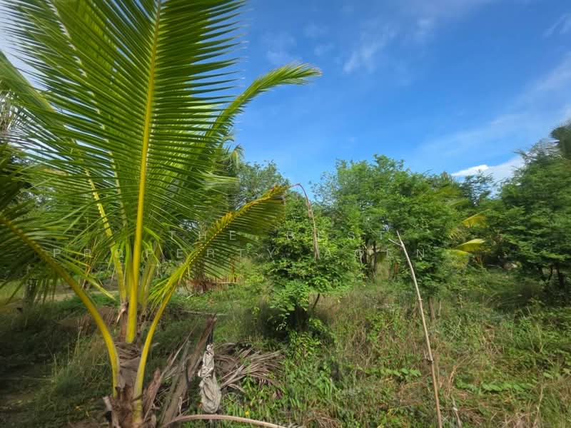 ที่ดินนครชัยศรี นครปฐม, Nakhon Pathom, Bang Krabao, Nakhon Chai Sri, Nakhon Pathom, , 3,064 sqm, Land For Sale, by The Best Property Agent อ้อ, 500358309 - DDproperty.com
