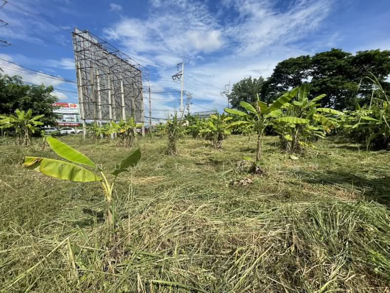 ไม่พบโครงการ, Chiang Mai, -, Chang Phuak, Muang Chiang Mai, Chiang Mai, , 25,352 sqm, Land For Sale, by Panuwat Jinanan, 500358311 - DDproperty.com