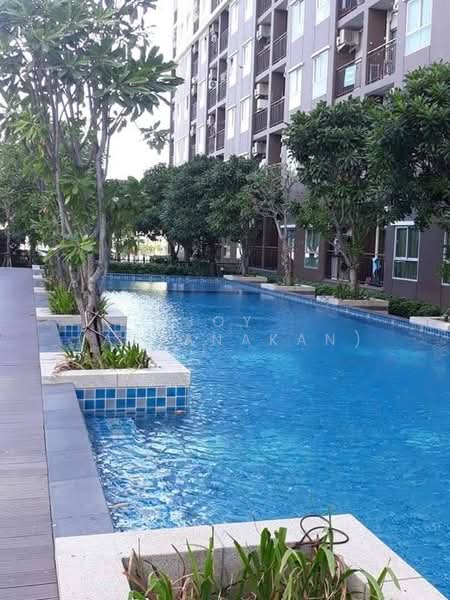 Aspire Erawan Prime, Samut Prakan, Sukhumvit Road, Pak Nam, Muang Samut Prakarn, Samut Prakan, 1 Bedroom, 32 sqm, Condo For Rent, by JOY (Attanakan), 500358344 - DDproperty.com