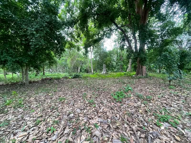 ขายที่ดินทำเลทอง ย่านช่างเคียน ตำบลช้างเผือก อำเภอเมืองเชียงใหม่, เชียงใหม่, ช้างเผือก, เมืองเชียงใหม่, เชียงใหม่, 10,756 ตร.ม., ที่ดิน ขาย, โดย Sirinrat Maneerat, 500358419 - DDproperty.com