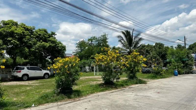 อยู่เจริญ 2 ลำลูกกา - คลอง 4, ปทุมธานี, ไสวประชาราษฎร์, ลาดสวาย, ลำลูกกา, ปทุมธานี, 45 ตร.ม., ทาวน์เฮ้าส์ ขาย, โดย คุณ ภรณ์ทิพย์ (ปุ๋ย), 500358511 - DDproperty.com