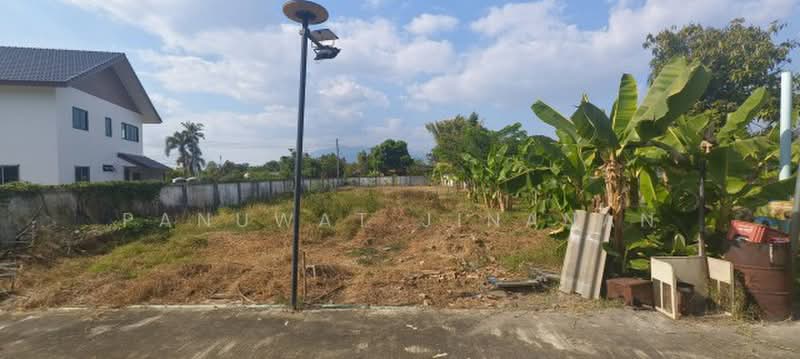 ไม่พบโครงการ, เชียงใหม่, , ท่าวังตาล, สารภี, เชียงใหม่, 6,160 ตร.ม., ที่ดิน ขาย, โดย Panuwat Jinanan, 500358539 - DDproperty.com
