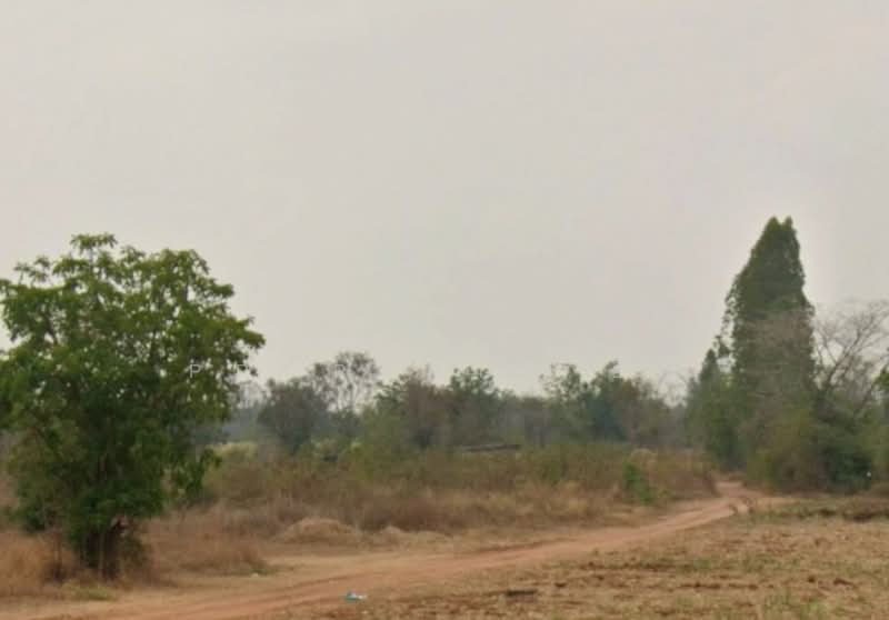 ที่ดินหนองเรือ ขอนแก่น, Khon Kaen, Kut Kwang, Nong Rua, Khon Kaen, , 800 sqm, Land For Sale, by The Best Property อีฟ, 500358559 - DDproperty.com