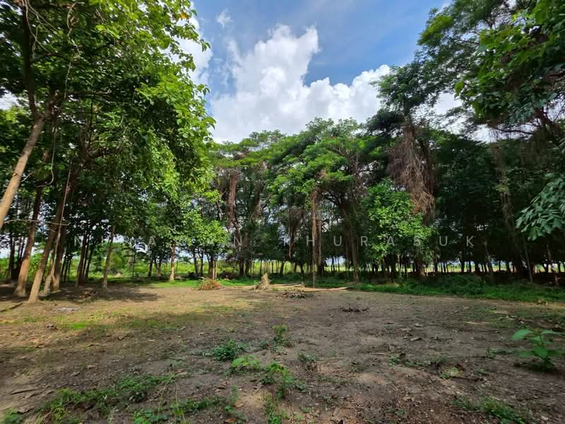 เมืองนครปฐม, Nakhon Pathom, Ban Yang, Muang Nakhon Pathom, Nakhon Pathom, , 89,312 sqm, Land For Sale, by Nipawan Thurasuk, 500358687 - DDproperty.com