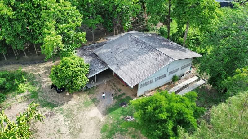 เมืองนครปฐม, นครปฐม, บ้านยาง, เมืองนครปฐม, นครปฐม, 89,312 ตร.ม., ที่ดิน ขาย, โดย Nipawan Thurasuk, 500358687 - DDproperty.com