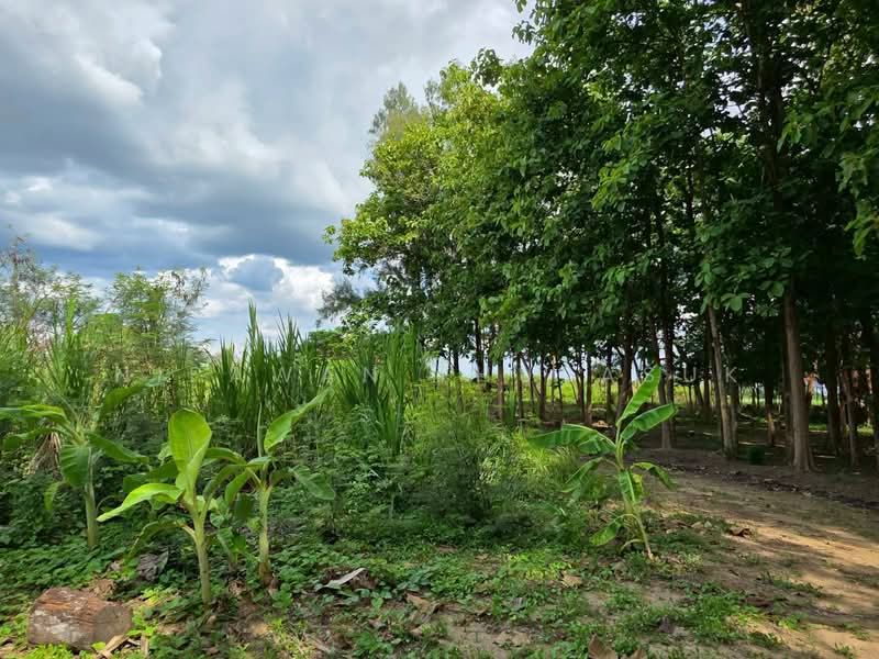 เมืองนครปฐม, Nakhon Pathom, Ban Yang, Muang Nakhon Pathom, Nakhon Pathom, , 89,312 sqm, Land For Sale, by Nipawan Thurasuk, 500358687 - DDproperty.com
