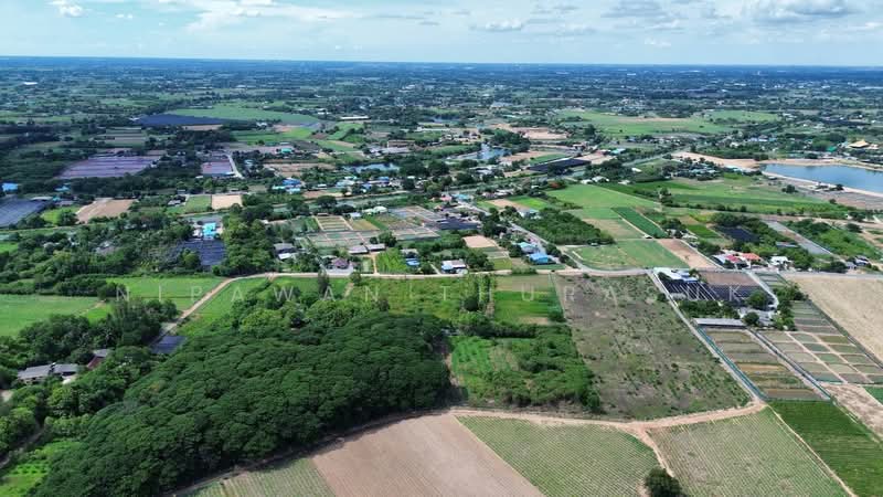 เมืองนครปฐม, Nakhon Pathom, Ban Yang, Muang Nakhon Pathom, Nakhon Pathom, , 89,312 sqm, Land For Sale, by Nipawan Thurasuk, 500358687 - DDproperty.com