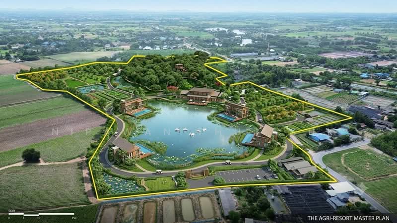 เมืองนครปฐม, Nakhon Pathom, Ban Yang, Muang Nakhon Pathom, Nakhon Pathom, , 89,312 sqm, Land For Sale, by Nipawan Thurasuk, 500358687 - DDproperty.com