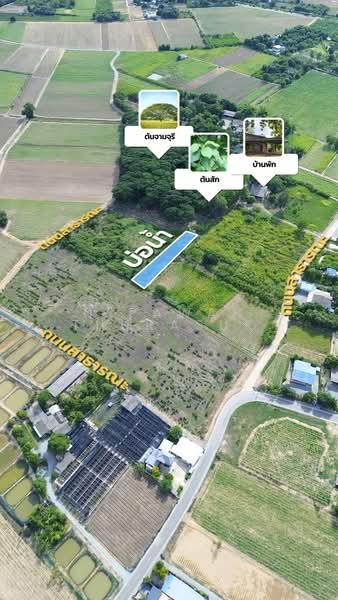 เมืองนครปฐม, Nakhon Pathom, Ban Yang, Muang Nakhon Pathom, Nakhon Pathom, , 89,312 sqm, Land For Sale, by Nipawan Thurasuk, 500358687 - DDproperty.com