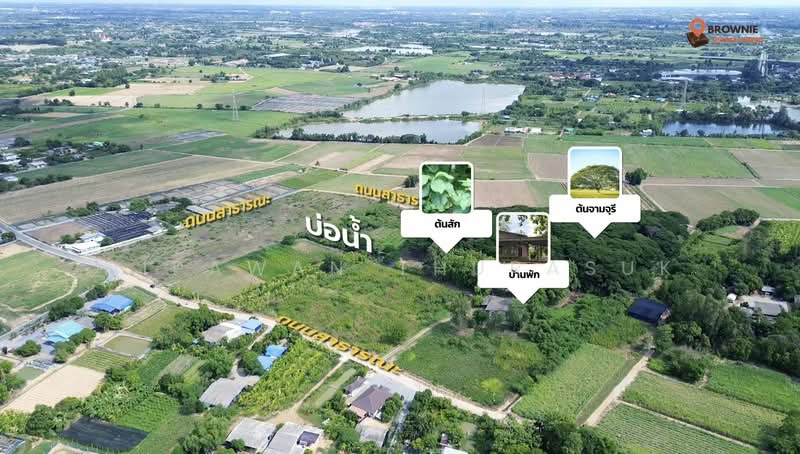เมืองนครปฐม, Nakhon Pathom, Ban Yang, Muang Nakhon Pathom, Nakhon Pathom, , 89,312 sqm, Land For Sale, by Nipawan Thurasuk, 500358687 - DDproperty.com