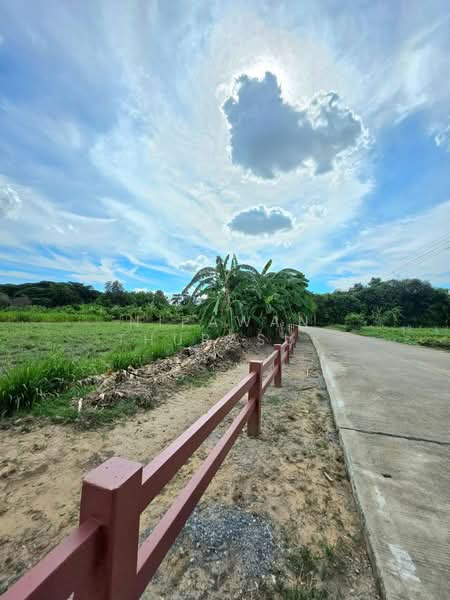 เมืองนครปฐม, นครปฐม, บ้านยาง, เมืองนครปฐม, นครปฐม, 89,312 ตร.ม., ที่ดิน ขาย, โดย Nipawan Thurasuk, 500358687 - DDproperty.com
