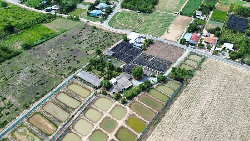 เมืองนครปฐม, Nakhon Pathom, Ban Yang, Muang Nakhon Pathom, Nakhon Pathom, , 89,312 sqm, Land For Sale, by Nipawan Thurasuk, 500358687 - DDproperty.com