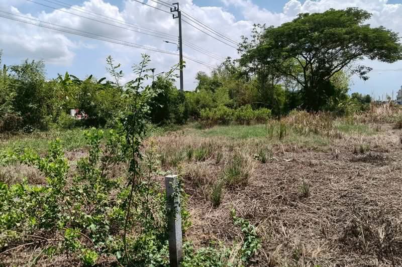 สยาม พรีเมี่ยม เอาท์เล็ต กรุงเทพ, Samut Prakan, Bang Sao Thong, Bang Sao Thong, Samut Prakan, , 904 sqm, Land For Sale, by ชนะชาติ นนท์ตา, 500358763 - DDproperty.com