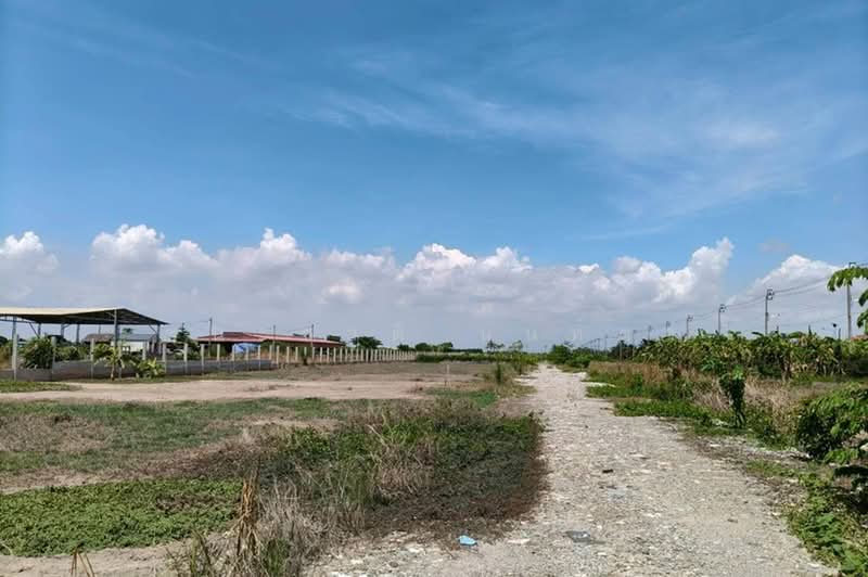 สยาม พรีเมี่ยม เอาท์เล็ต กรุงเทพ, สมุทรปราการ, บางเสาธง, สมุทรปราการ, 904 ตร.ม., ที่ดิน ขาย, โดย ชนะชาติ นนท์ตา, 500358763 - DDproperty.com