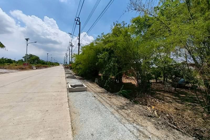 สยาม พรีเมี่ยม เอาท์เล็ต กรุงเทพ, Samut Prakan, Bang Sao Thong, Bang Sao Thong, Samut Prakan, , 904 sqm, Land For Sale, by ชนะชาติ นนท์ตา, 500358763 - DDproperty.com