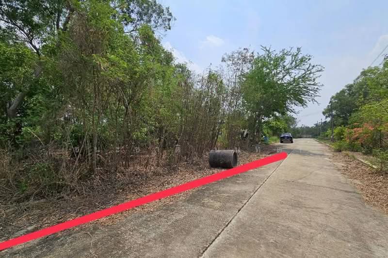 บึงบอน-หนองเสือ, Pathum Thani, Bung Bon, Nong Sua, Pathum Thani, , 800 sqm, Land For Sale, by ชนะชาติ นนท์ตา, 500358776 - DDproperty.com