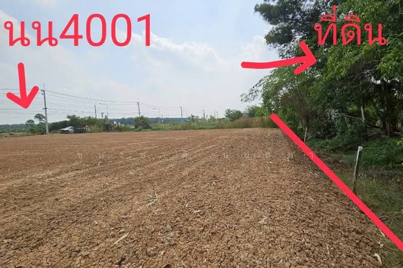 บึงบอน-หนองเสือ, ปทุมธานี, บึงบอน, หนองเสือ, ปทุมธานี, 800 ตร.ม., ที่ดิน ขาย, โดย ชนะชาติ นนท์ตา, 500358776 - DDproperty.com