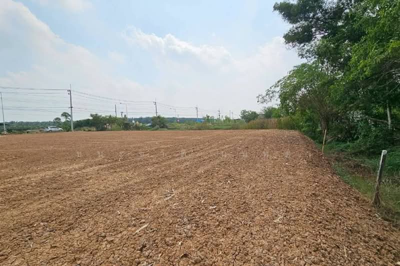 บึงบอน-หนองเสือ, ปทุมธานี, บึงบอน, หนองเสือ, ปทุมธานี, 800 ตร.ม., ที่ดิน ขาย, โดย ชนะชาติ นนท์ตา, 500358776 - DDproperty.com