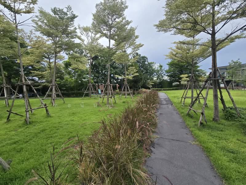 Eco haus Pinklao-Salaya, Nonthaburi, Atchariya Phatthana 2 Road, Sala Klang, Bang Kruai, Nonthaburi, 3 Bedrooms, 141 sqm, Single Detached House For Sale, by พัทธนันท์ เชาวลิต, 500358895 - DDproperty.com